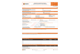 Vista previa SSOMA-REG-05